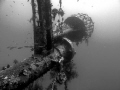   Cedar Pride wreck Gulf Aqaba. Wonderful easy around 20 m. Aqaba  